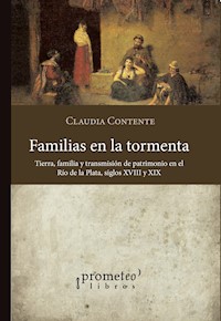 Familias en la tormenta - Claudia Contente - E-Book
