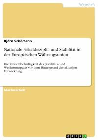 Nationale Fiskaldisziplin und Stabilität in der Europäischen Währungsunion - Björn Schömann - E-Book
