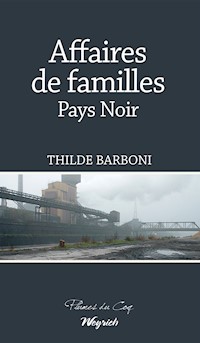 Affaires de familles - Thilde Barboni - E-Book