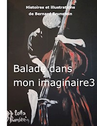 balade dans mon imaginaire 3 - Bernard Brunstein - E-Book