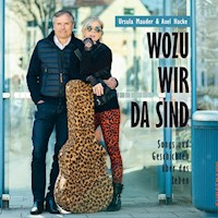 Wozu wir da sind - Axel Hacke - Hörbuch