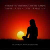 Pause. Atmen. Weitermachen - Achtsame MINI-Meditationen mit MAXI-Wirkung - Patrick Lynen - Hörbuch