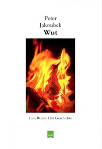 Wut – Eine Ronny Hirt Geschichte - Peter Jakoubek - E-Book