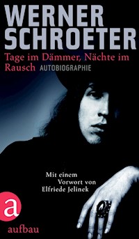 Tage im Dämmer, Nächte im Rausch - Werner Schroeter - E-Book