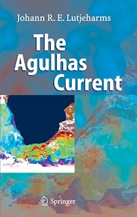 The Agulhas Current - Johann R.E. Lutjeharms - E-Book