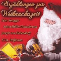 Erzählungen zur Weihnachtszeit - Adam Müller-Guttenbrunn - Hörbuch