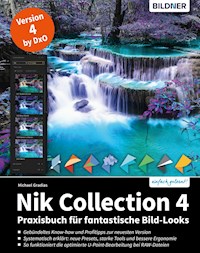 Nik Collection 4 - Michael Gradias - E-Book