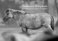 Dülmener Wildpferde - Martin Kreuels - E-Book