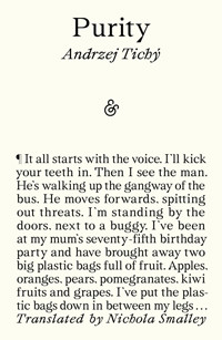 Purity - Andrzej Tichý - E-Book