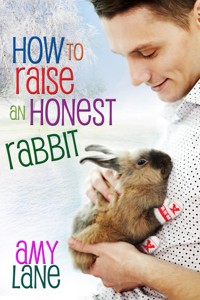 How to Raise an Honest Rabbit - Amy Lane - E-Book