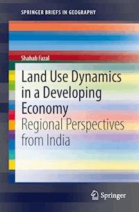Land Use Dynamics in a Developing Economy - Shahab Fazal - E-Book