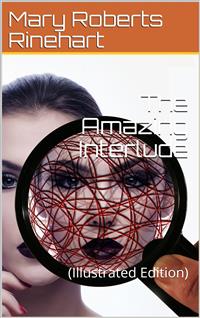 The Amazing Interlude - Mary Roberts Rinehart - E-Book