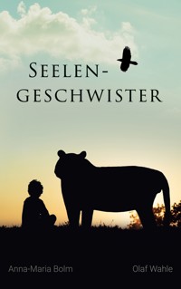 Seelengeschwister - Olaf Wahle - E-Book