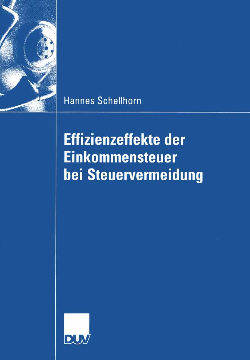 Effizienzeffekte der Einkommensteuer bei Steuervermeidung - Hannes Schellhorn - E-Book