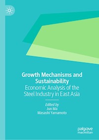 Growth Mechanisms and Sustainability - - E-Book