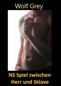 NS Spiel zwischen Herr und Sklave - Wolf Grey - E-Book