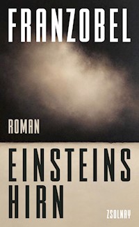 Einsteins Hirn - Franzobel - E-Book