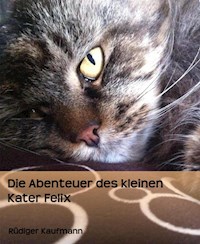 Die Abenteuer des kleinen Kater Felix - Rüdiger Kaufmann - E-Book