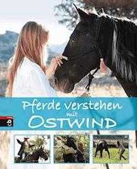 Pferde verstehen mit Ostwind - Almut Schmidt - E-Book