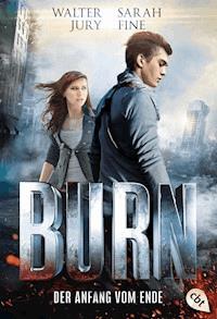 BURN - Der Anfang vom Ende - Walter Jury - E-Book