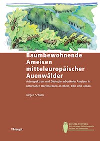 Baumbewohnende Ameisen mitteleuropäischer Auenwälder - Jürgen Schuler - E-Book