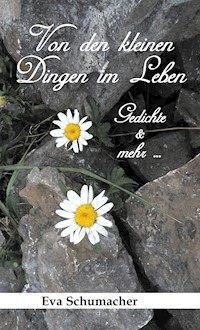 Von den kleinen Dingen im Leben - Eva Schumacher - E-Book
