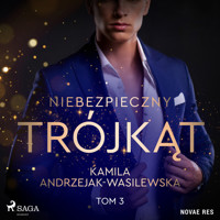 Niebezpieczny trójkąt. Tom 3. Game over - Kamila Andrzejak-Wasilewska - Hörbuch