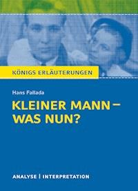 Kleiner Mann – was nun? - Hans Fallada - E-Book