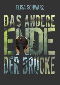 Das andere Ende der Brücke - Elisa Schwarz - E-Book