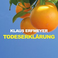 Todeserklärung (Ungekürzt) - Klaus Erfmeyer - Hörbuch