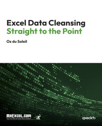 Excel Data Cleansing Straight to the Point - MrExcel's Holy Macro! Books - E-Book