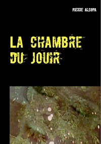 La chambre du jouir - Pierre Alcopa - E-Book
