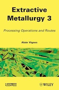 Extractive Metallurgy 3 - Alain Vignes - E-Book