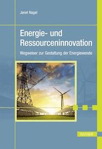 Energie- und Ressourceninnovation - Janet Nagel - E-Book