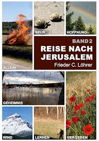 Reise nach Jerusalem - Frieder C. Löhrer - E-Book