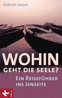 Wohin geht die Seele? - Gabriel Looser - E-Book