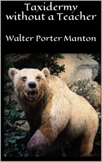 Taxidermy without a Teacher - Walter Porter Manton - E-Book