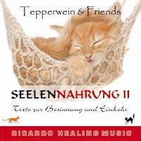 Seelennahrung 2: Texte zur Besinnung und Einkehr (Tepperwein and Friends) -  - Hörbuch