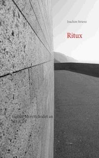 Ritux - Joachim Strienz - E-Book