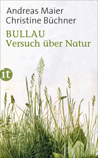 Bullau - Andreas Maier - E-Book