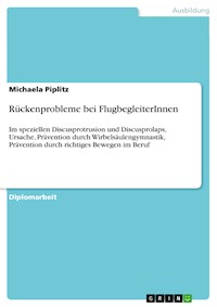 Rückenprobleme bei FlugbegleiterInnen - Michaela Piplitz - E-Book
