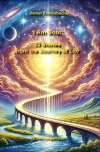 I Am Soul: 33 Stories from the Journey of Life - Daniel Rindlisbacher - E-Book