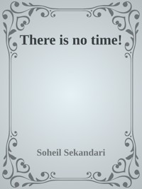 There is no Time! - Soheil Sekandari - E-Book