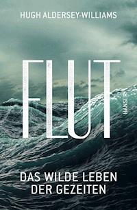 Flut - Hugh Aldersey-Williams - E-Book