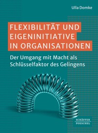 Flexibilität und Eigeninitiative in Organisationen - Ulla Domke - E-Book
