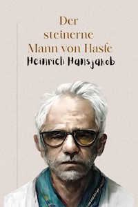 Der steinerne Mann von Hasle - Heinrich Hansjakob - E-Book
