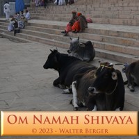 Om Namah Shivaya - 108 Mantras - Walter Berger - Hörbuch