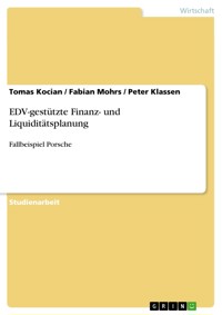 EDV-gestützte Finanz- und Liquiditätsplanung - Tomas Kocian - E-Book