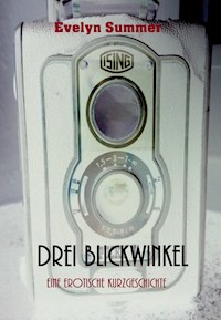 Drei Blickwinkel - Evelyn Summer - E-Book
