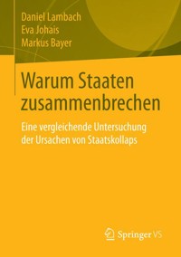 Warum Staaten zusammenbrechen - Daniel Lambach - E-Book